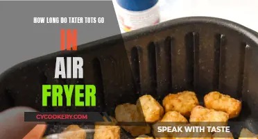 Air Fryer Tater Tots: How Long to Fry?