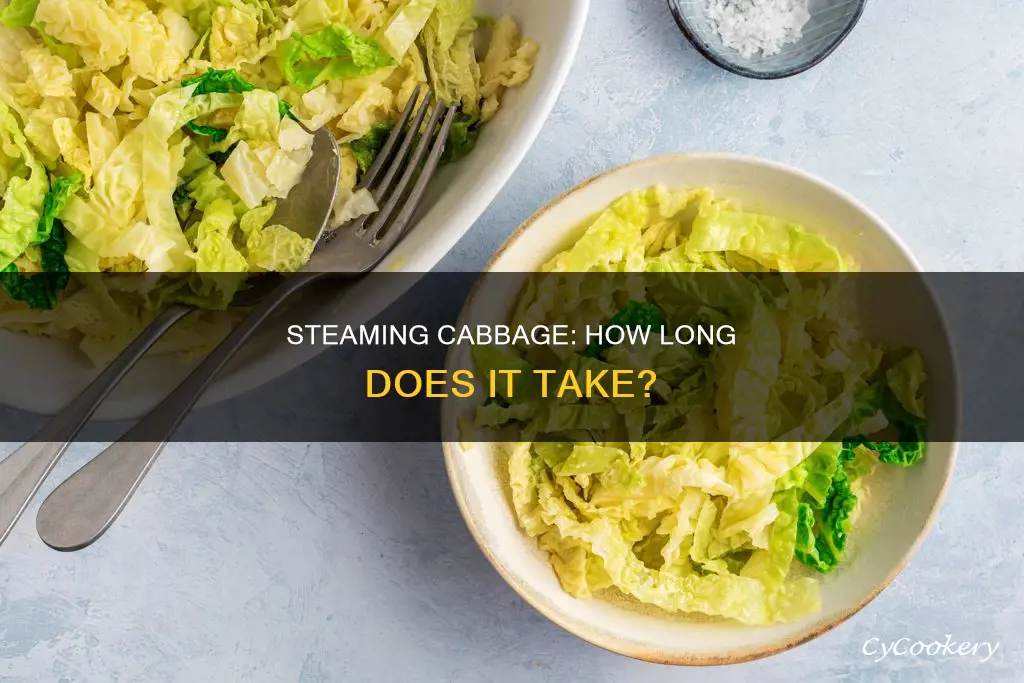 how long do u cook steam cabbage