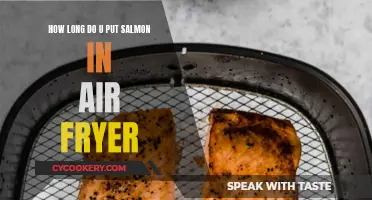 Air-Fried Salmon Perfection: Timing and Temperature Tips