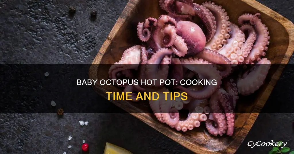 how long do you cook baby octopus in hot pot