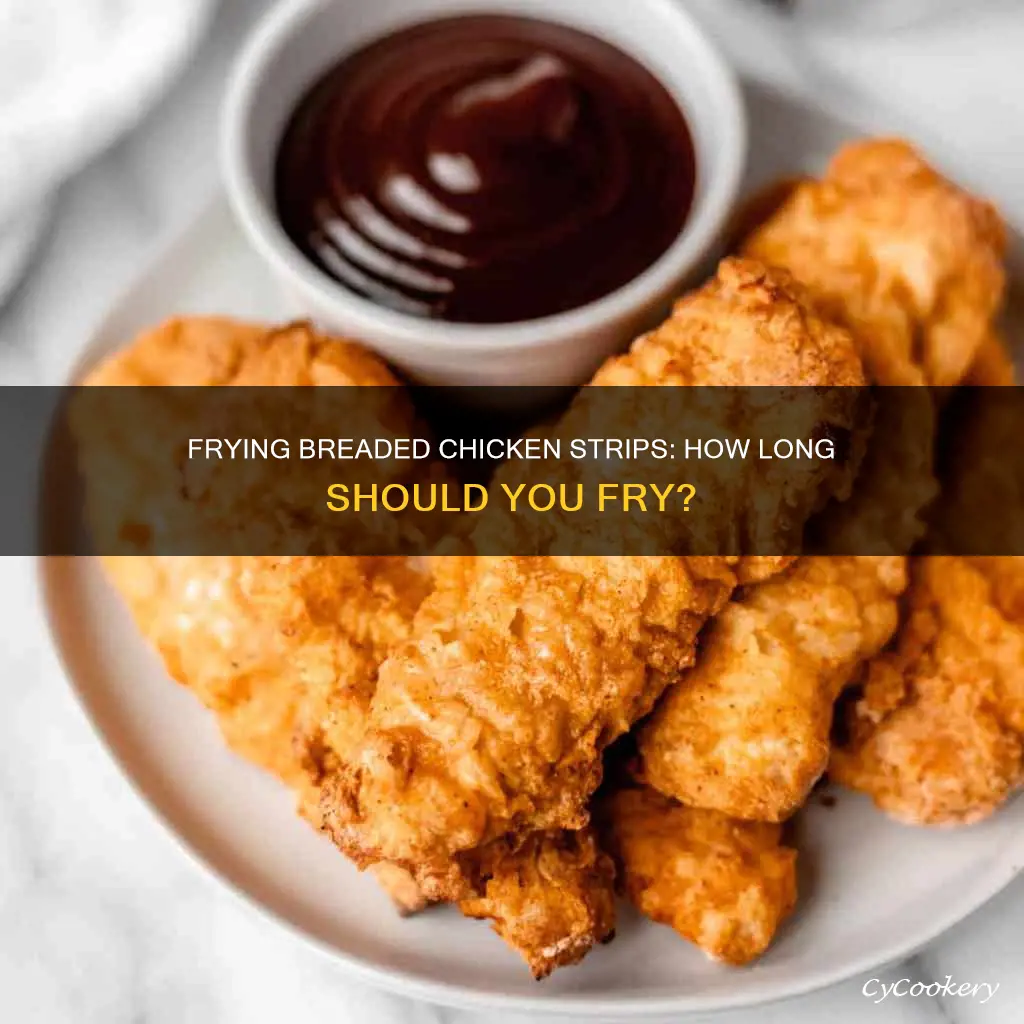 how long do you cook breaded chicken strips in fryer