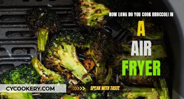 Air Fryer Broccoli Perfection: Quick and Easy Cooking Tips