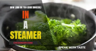 Steaming Broccoli: How Long for Perfectly Cooked Veggies?