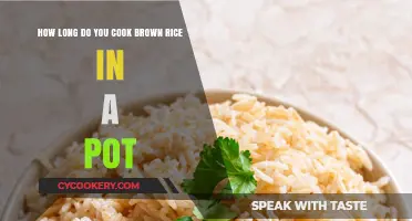 The Perfect Brown Rice: Cooking Time in a Pot