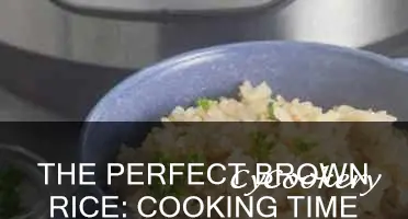 how long do you cook brown rice in a pot