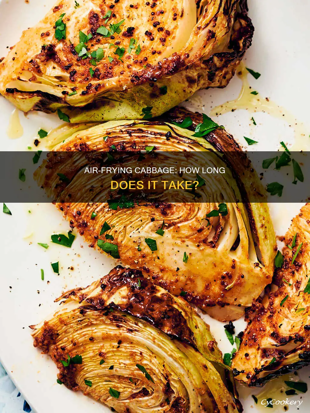 how long do you cook cabbage in an air fryer