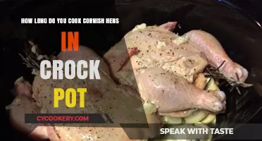Cornish Hens in a Crock Pot: How Long to Cook?