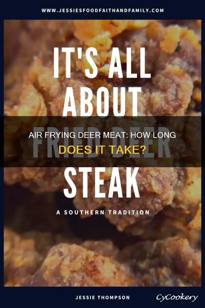 how long do you cook deer meat in air fryer