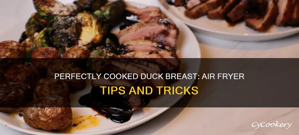 how long do you cook duck breast in air fryer