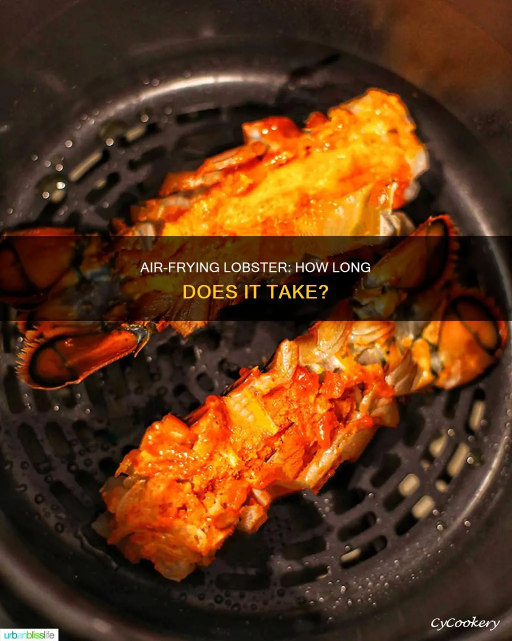 how long do you cook lobster in an air fryer