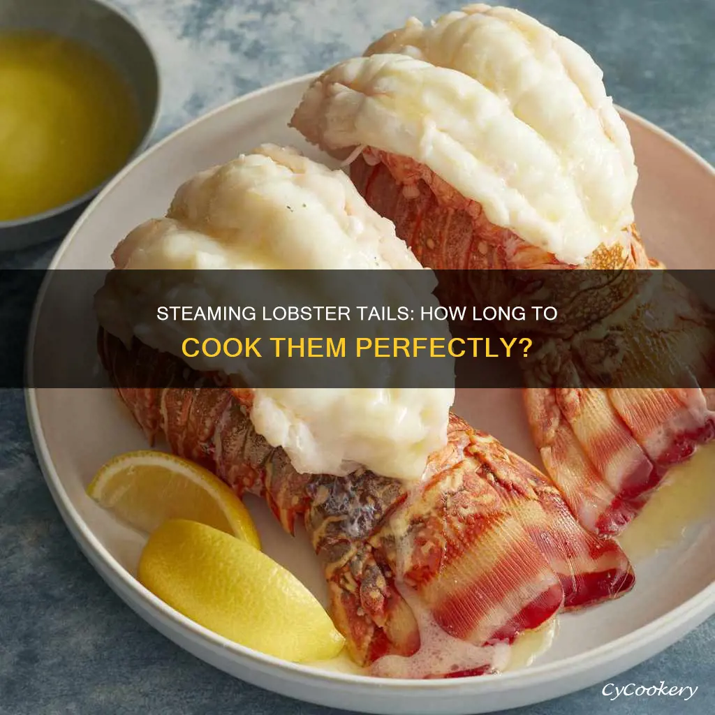 how long do you cook lobster tails steam