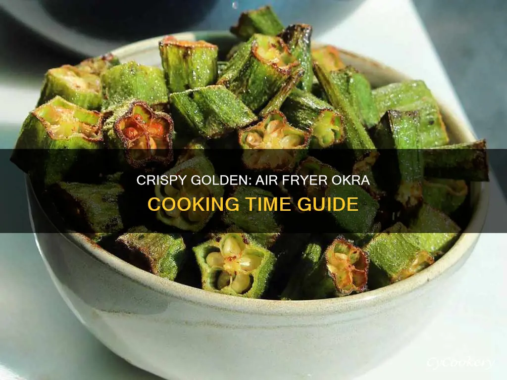 how long do you cook ocra in air fryer