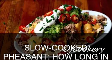how long do you cook pheasant in a crock pot