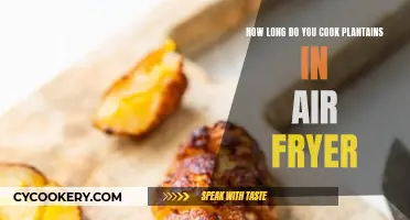 Perfectly Cooked Plantains: Air Fryer Tips and Tricks