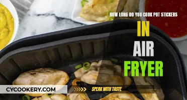 Crispy Pot Stickers: Air Fryer Cooking Time Guide