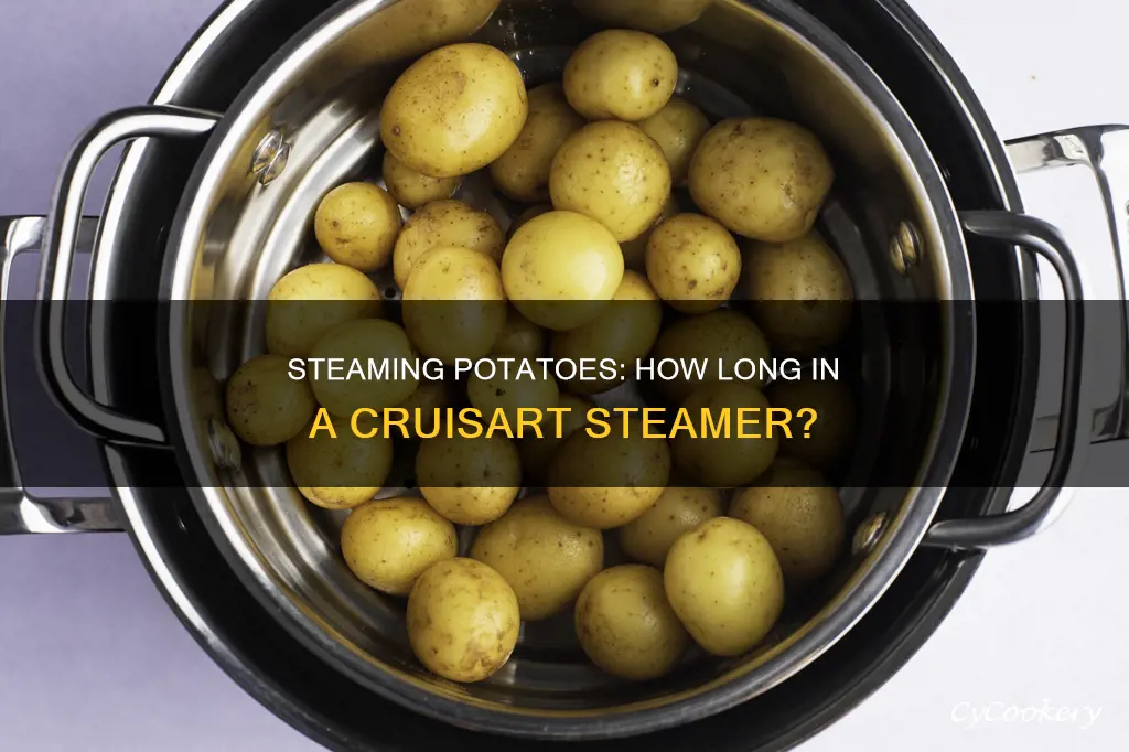 how long do you cook potatoes in a cruiseart steamer