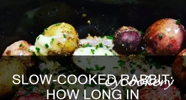 how long do you cook rabbit in a crock pot
