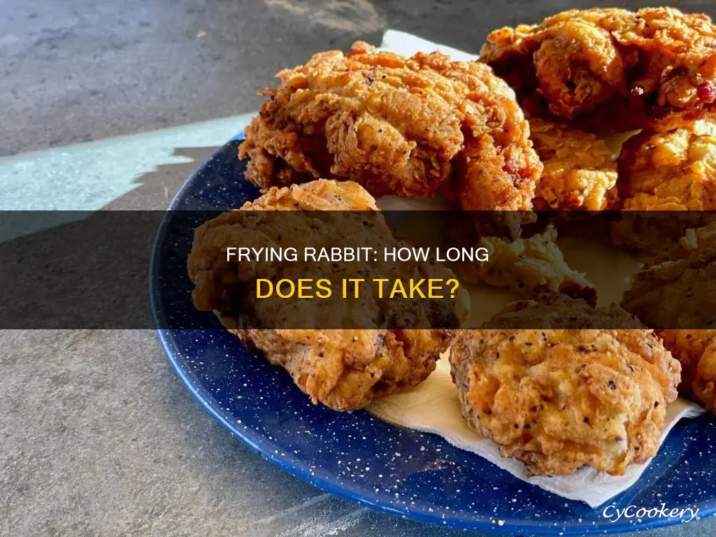 how long do you cook rabbit in fryer