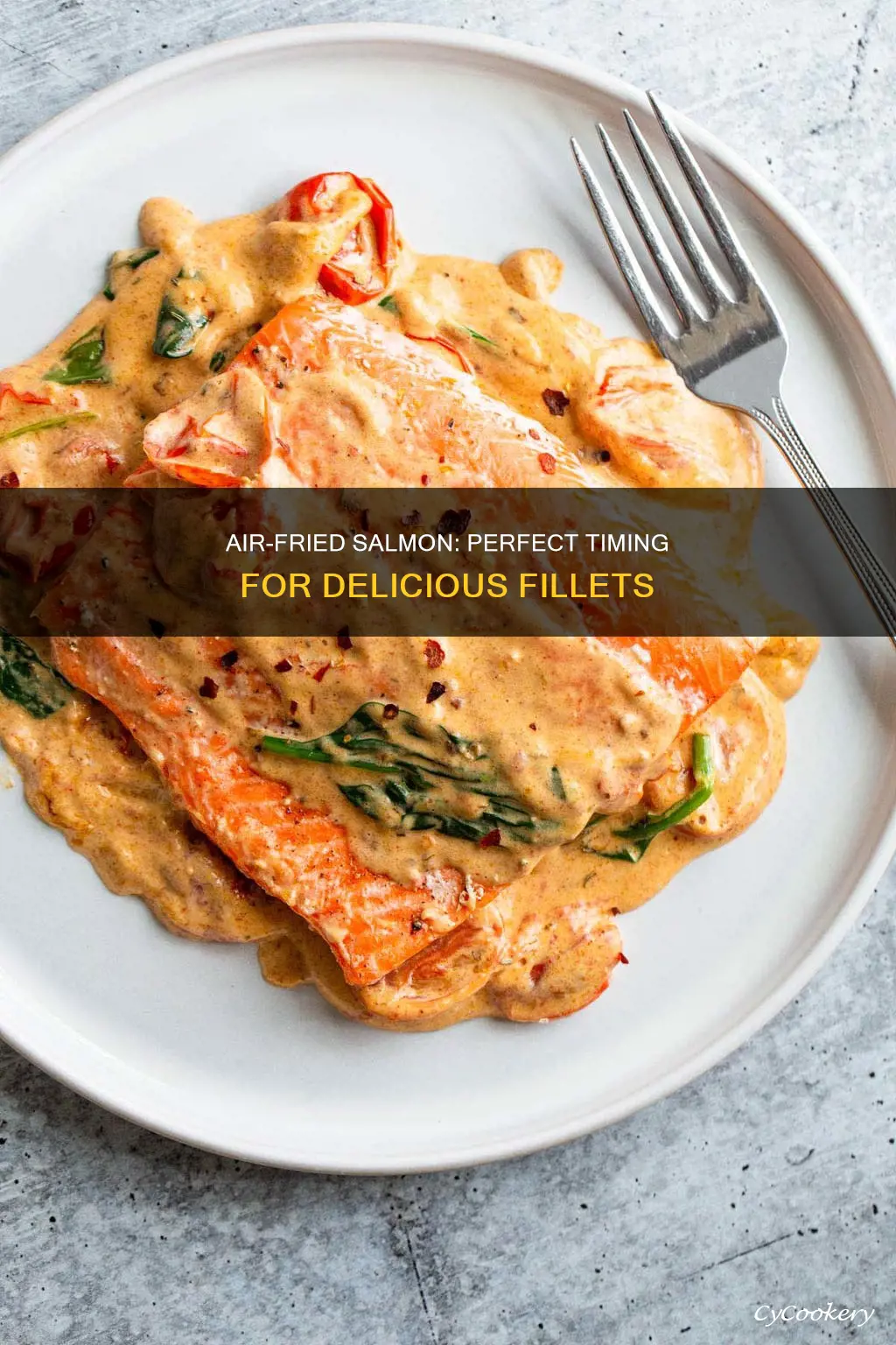 how long do you cook salmon fillet in air fryer