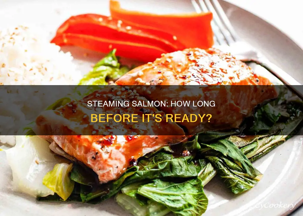 how long do you cook salmon in a steamer