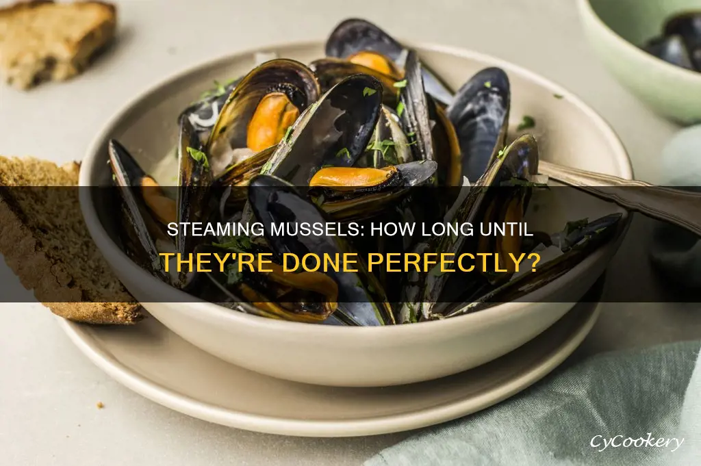 how long do you cook steamed mussels