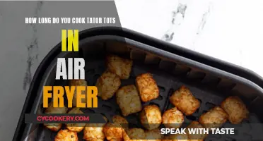 Perfectly Crispy Tater Tots: Air Fryer Cooking Time Guide