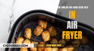 Crispy Tater Tot Transformation: Air Fryer Secrets Unveiled