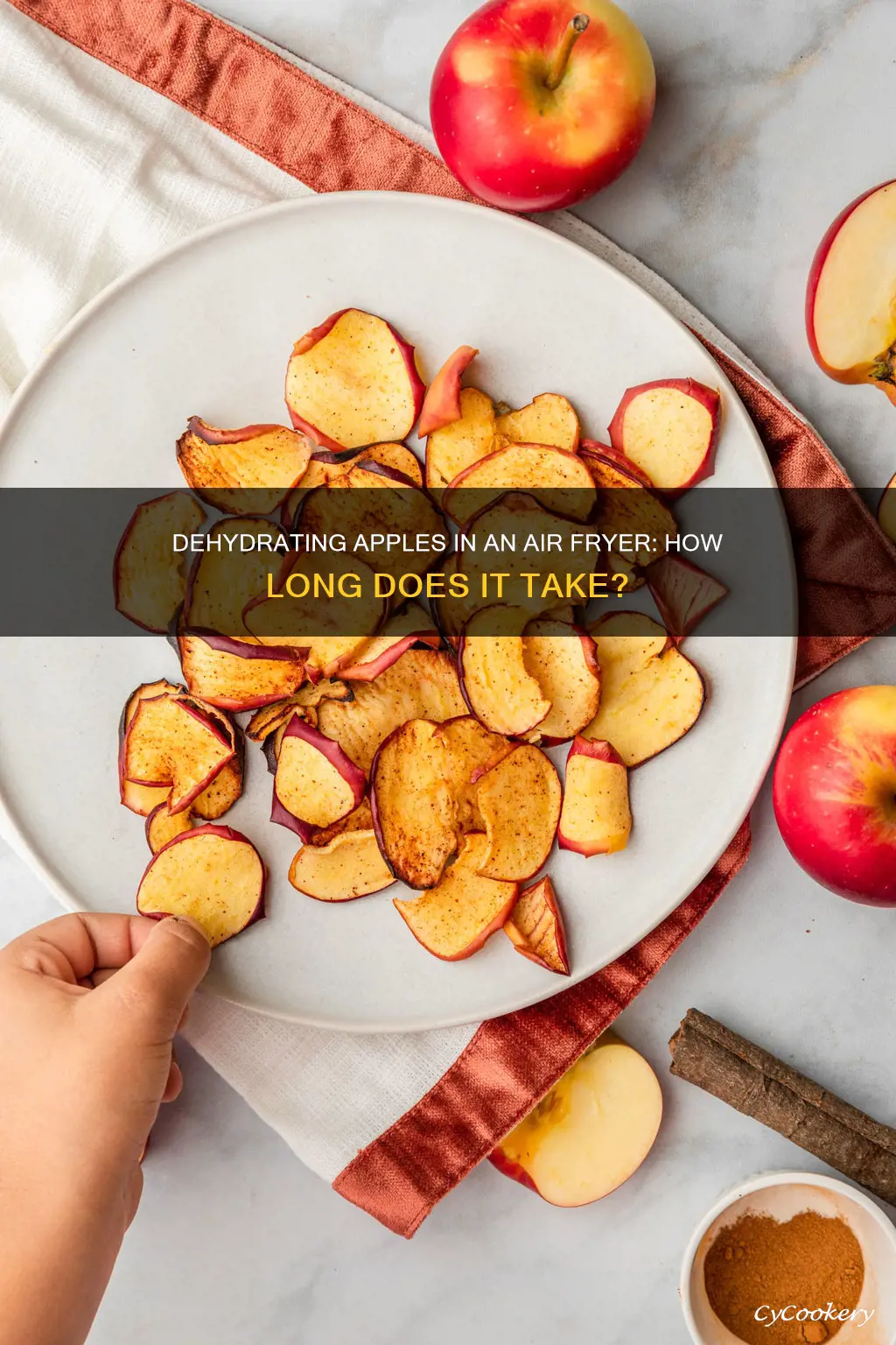 how long do you dehydrate apples in air fryer