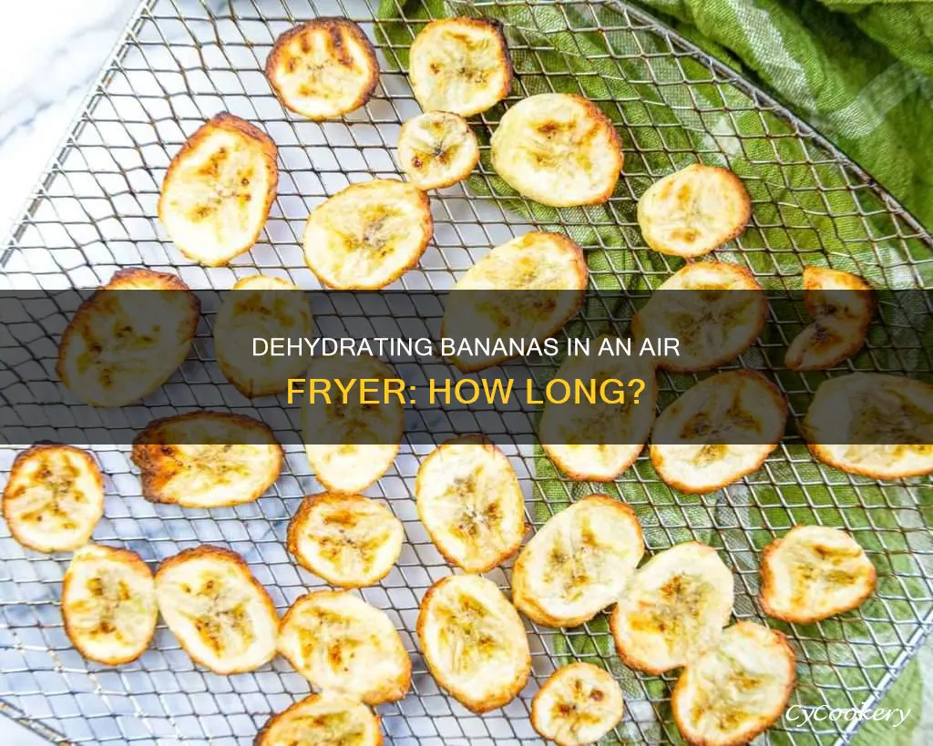 how long do you dehydrate bananas in air fryer