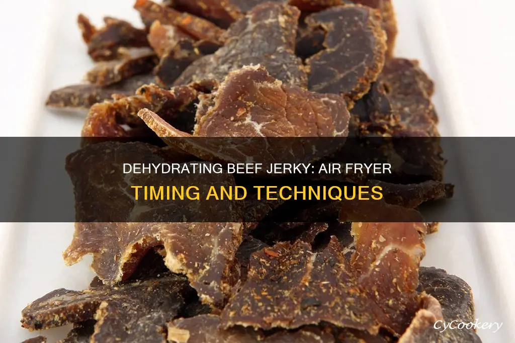 how long do you dehydrate beef jerky in air fryer