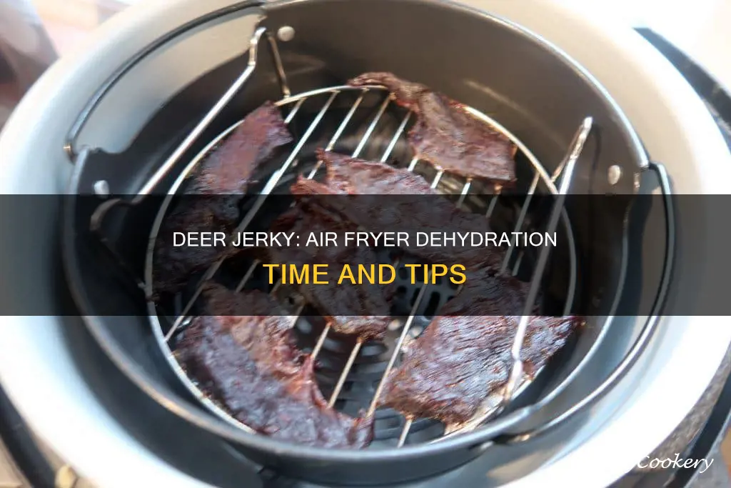 how long do you dehydrate deer jerky in air fryer