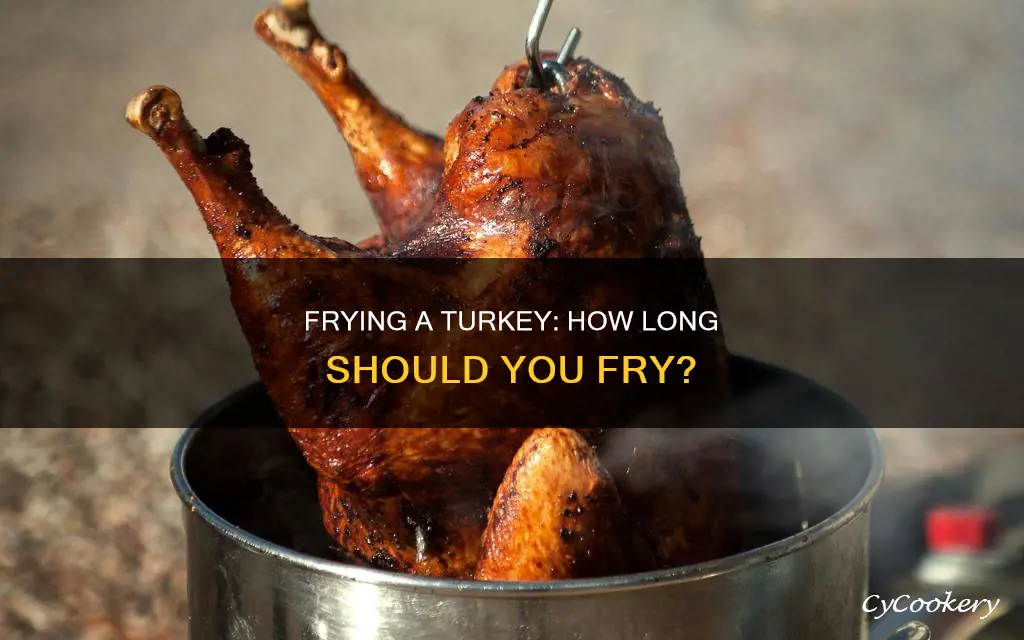 how long do you fry a turkey in a fryer