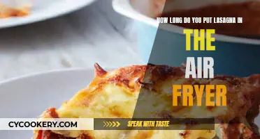 Lasagna Air Fryer Settings: Time and Temperature Guide