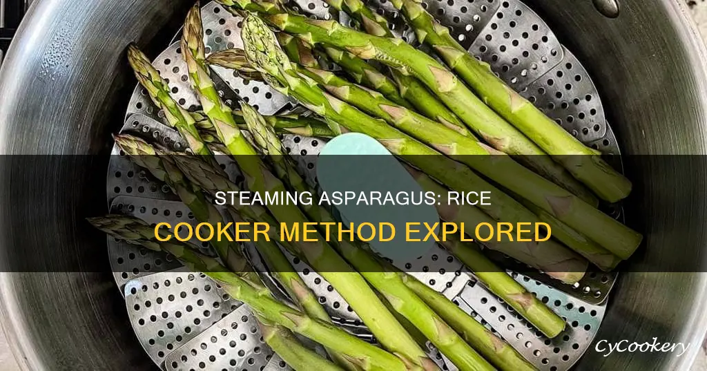 how long do you steam asparagus in a rice cooker