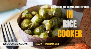 Steaming Brussels Sprouts: Rice Cooker Method Explored