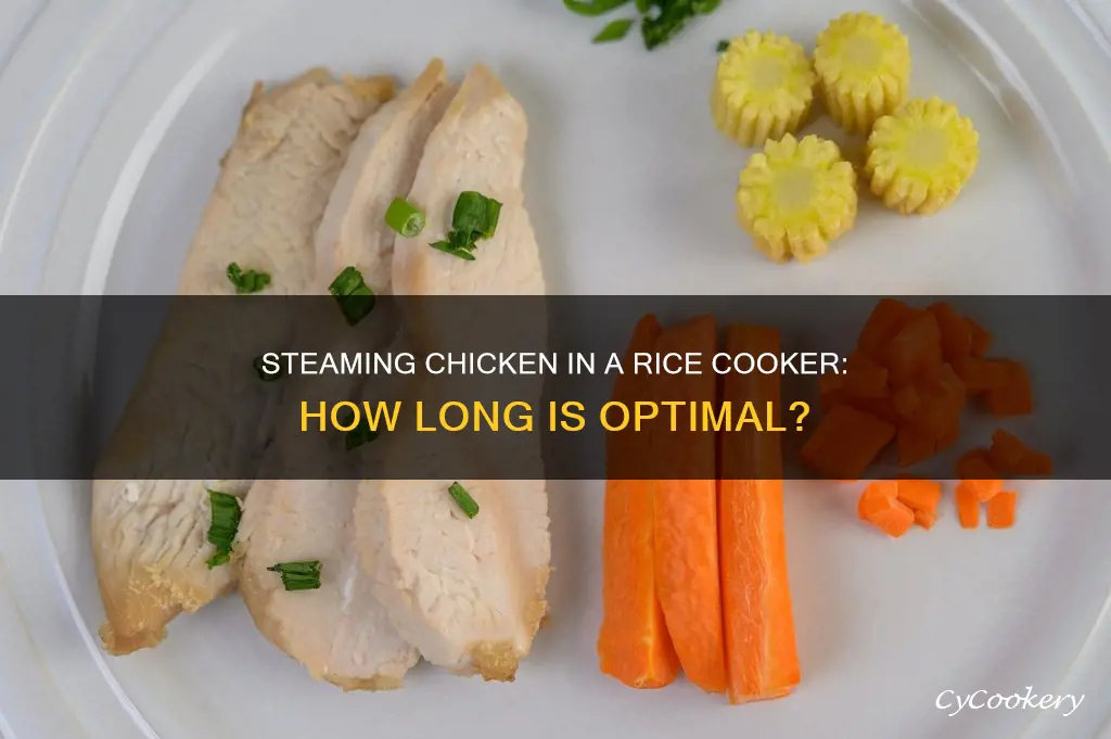 how long do you steam chicken in a rice cooker