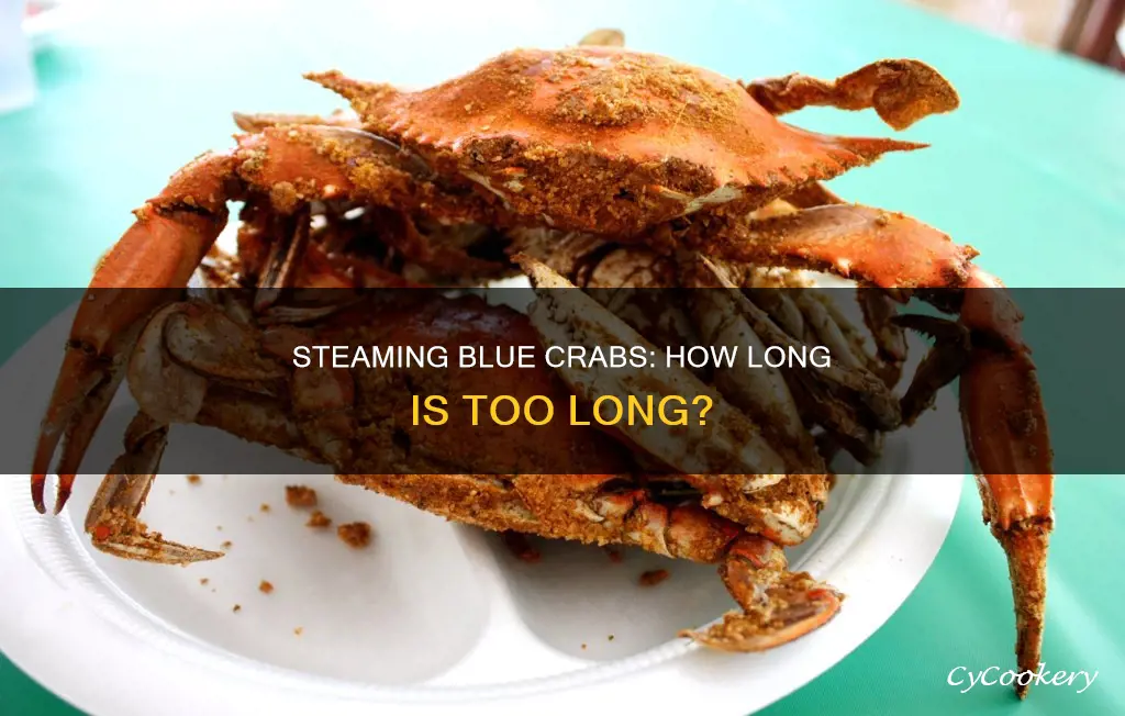 how long do you steam cooked blue crabs