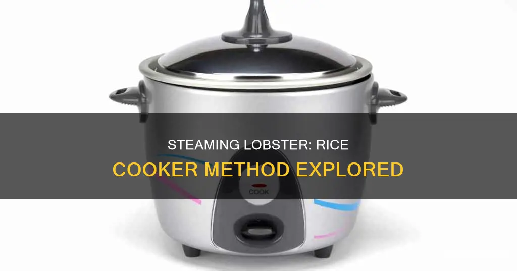 how long do you steam lobster in rice cooker