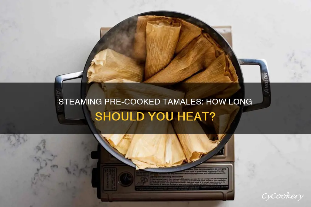 how long do you steam pre cooked tamales