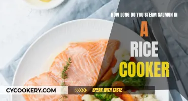 Steaming Salmon Perfection: Rice Cooker Technique Explored