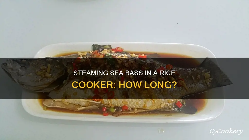 how long do you steam sea bass in rice cooker