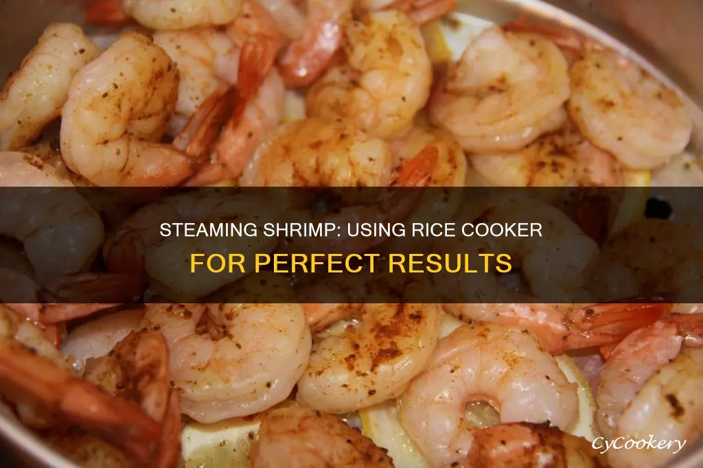 how long do you steam shrimp in a rice cooker