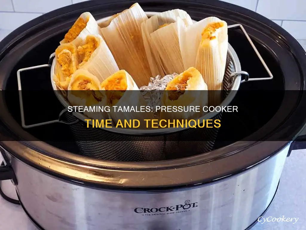 how long do you steam tamales in a pressure cooker