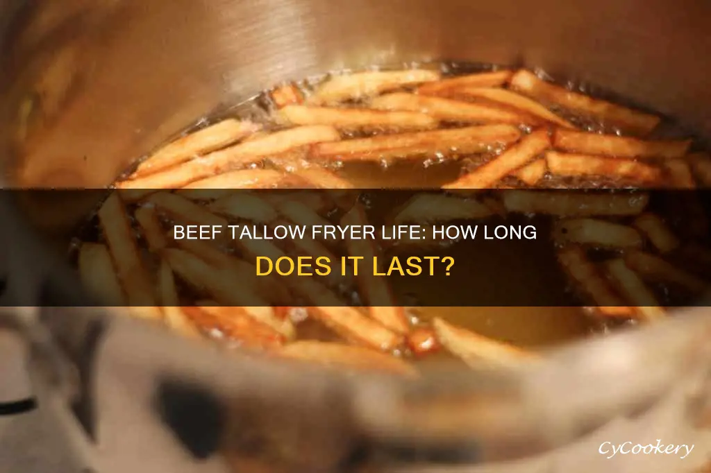 how long does beef tallow last in a fryer