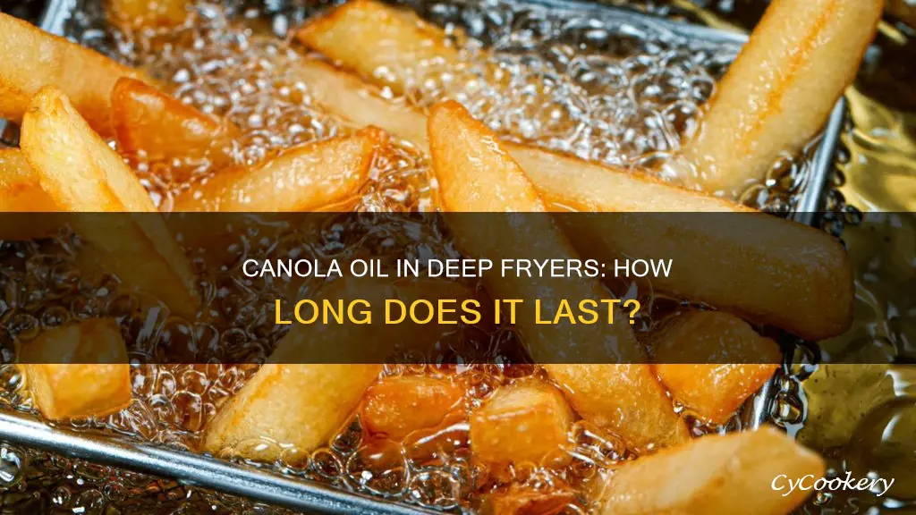 how long does canola oil last in a deep fryer