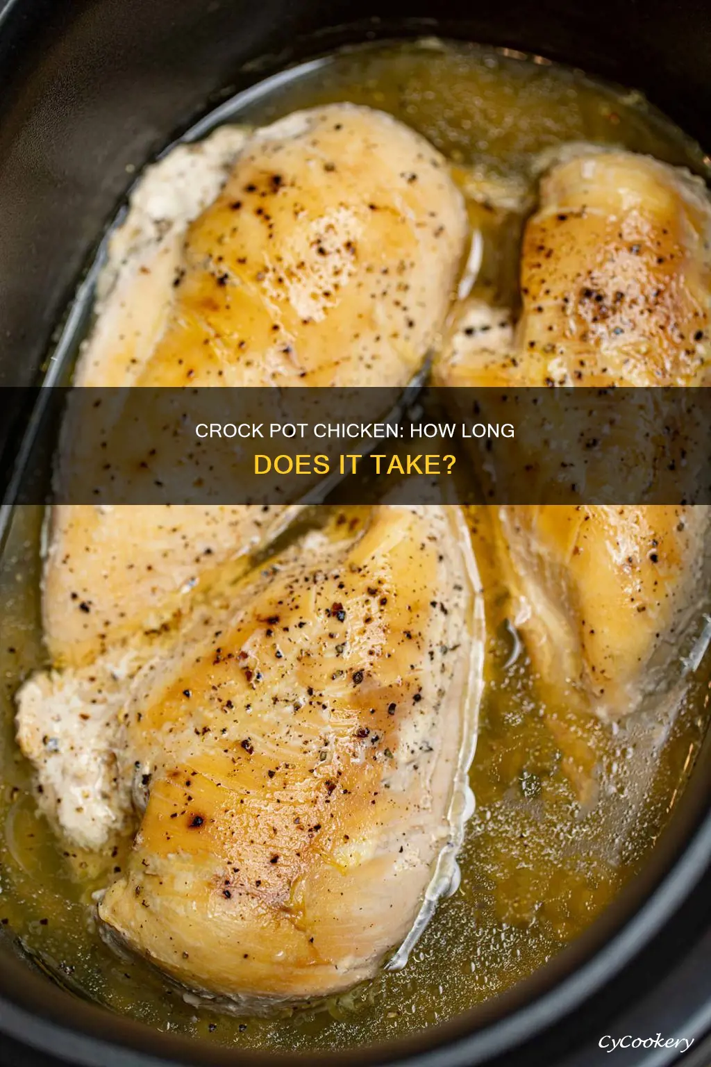 how long does chicken cook on high in crock pot