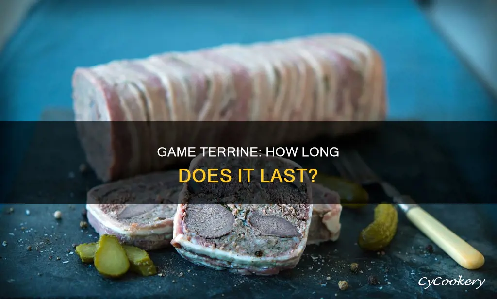 how long does game terrine keep