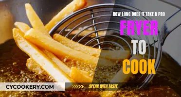 Mastering the Art of Frying: Time and Temperature Control