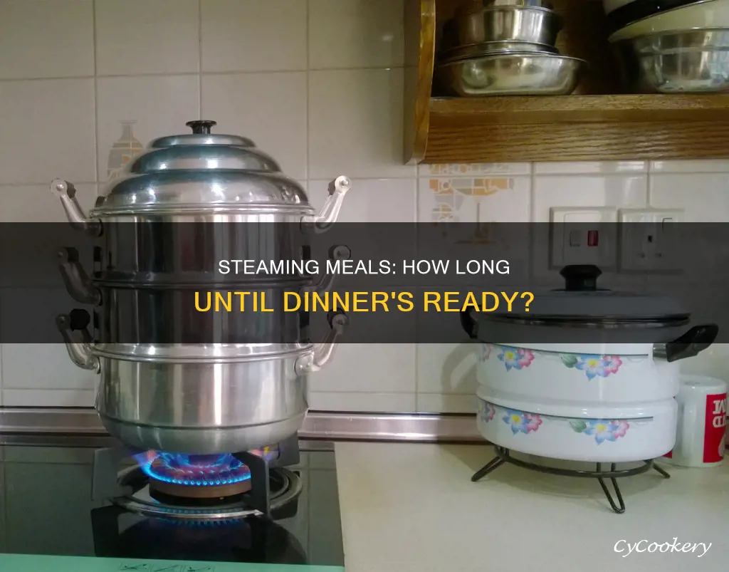 how long does it take to cook in a steamer