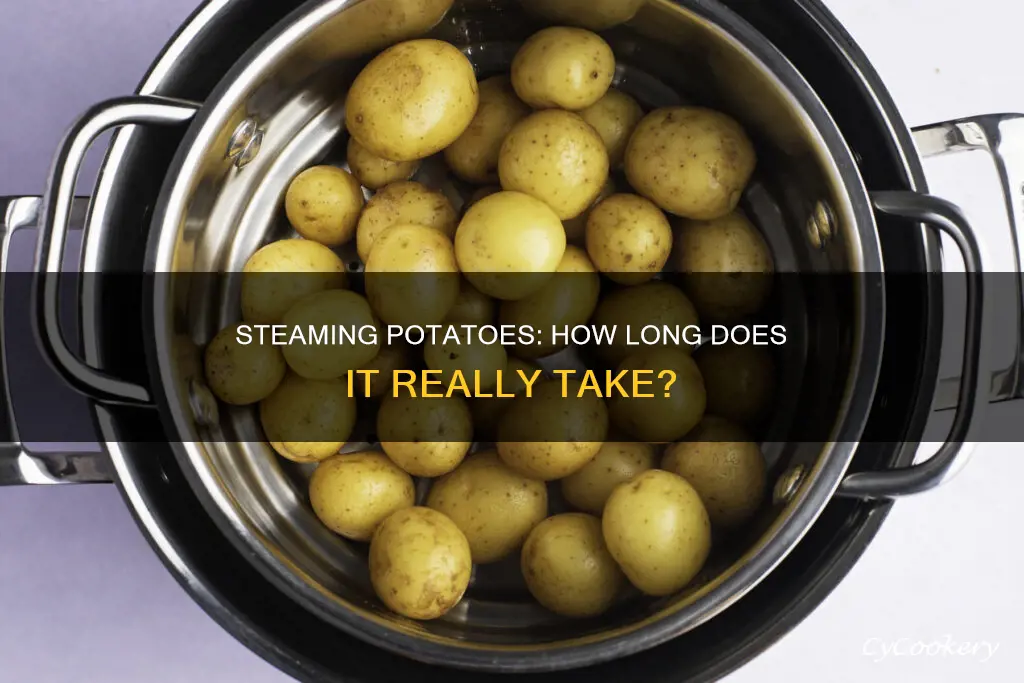 how long does it take to steam cook potatoes